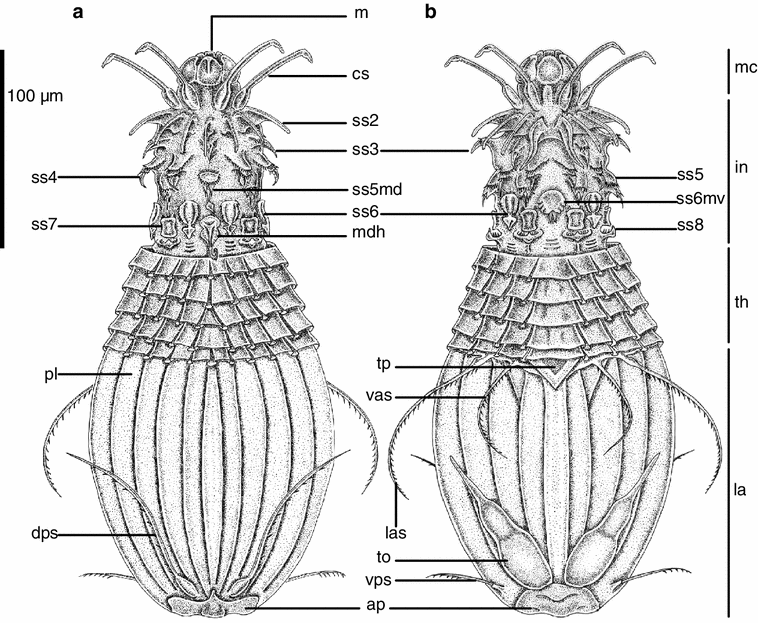 Fig. 6