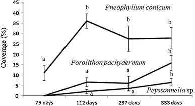 Fig. 6