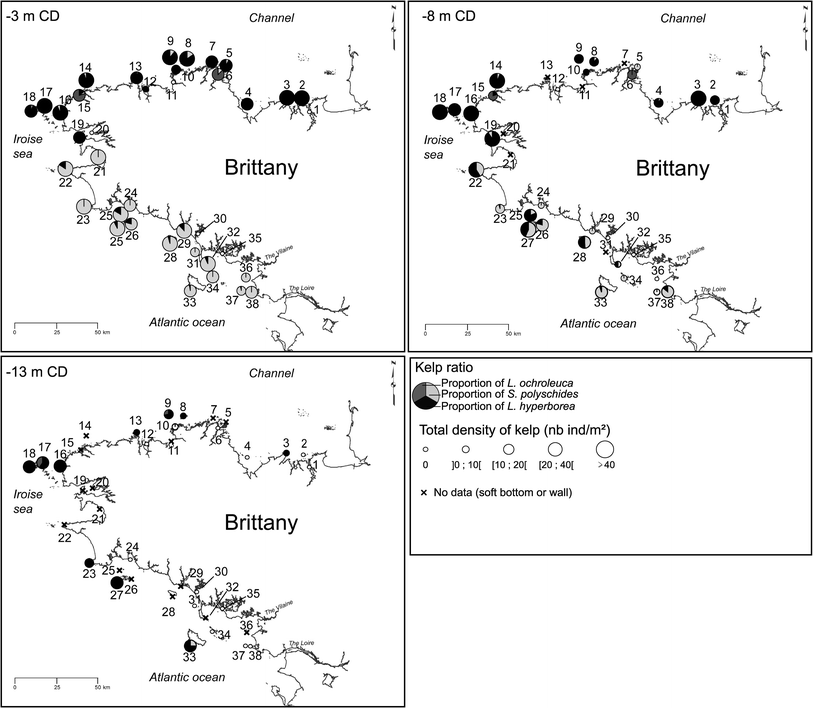 Fig. 3