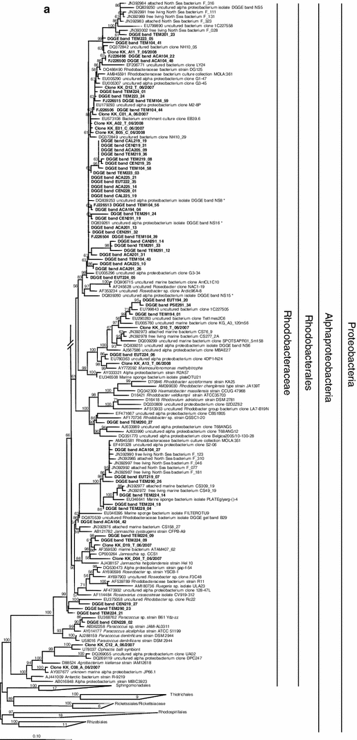 Fig. 5