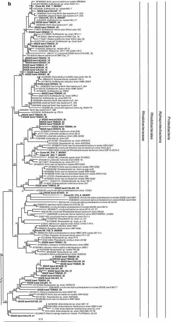 Fig. 5