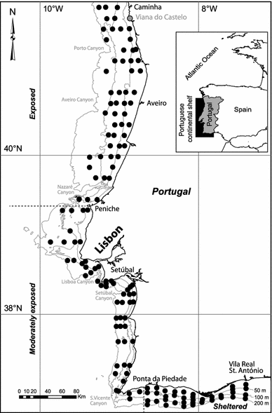 Fig. 1