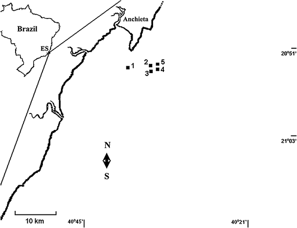 Fig. 1