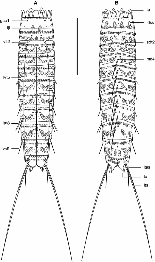 Fig. 5