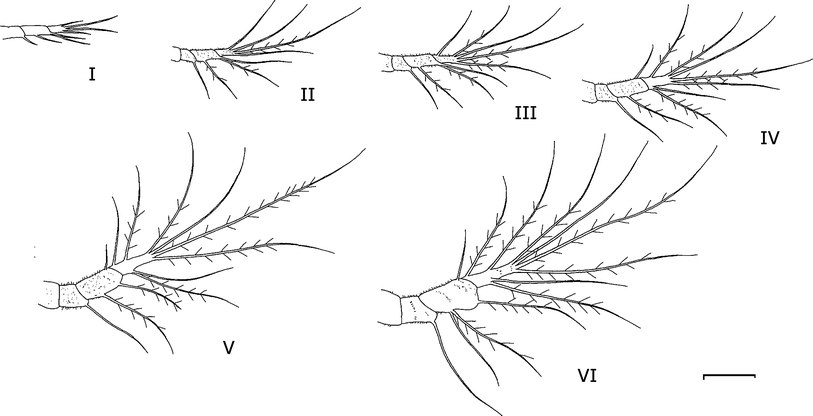 Fig. 5