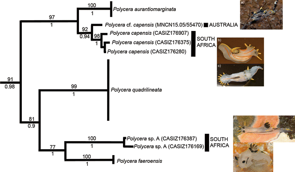 Fig. 2