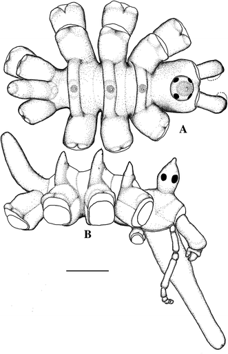 Fig. 1