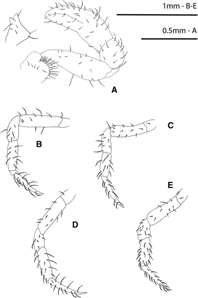 Fig. 4