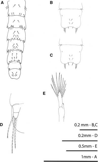 Fig. 5