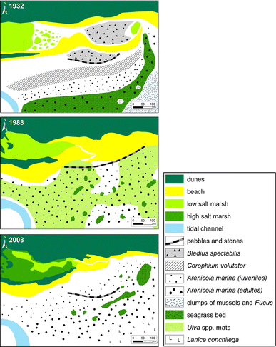 Fig. 3