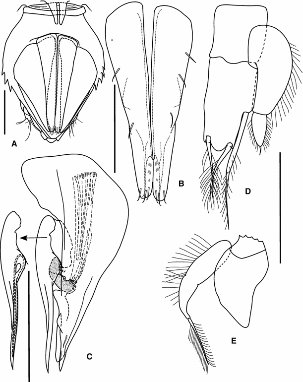 Fig. 6