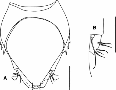 Fig. 7