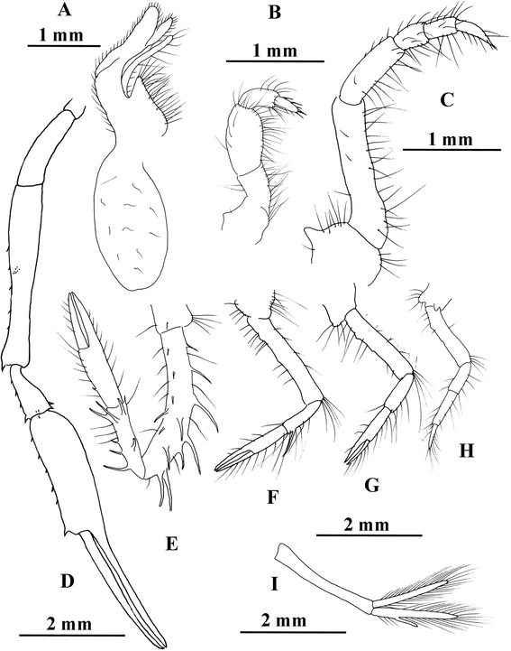 Fig. 9