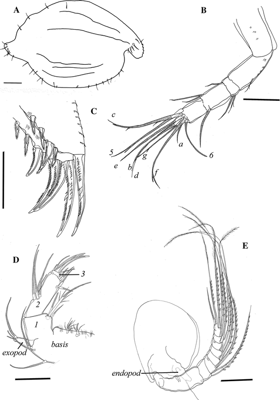 Fig. 8