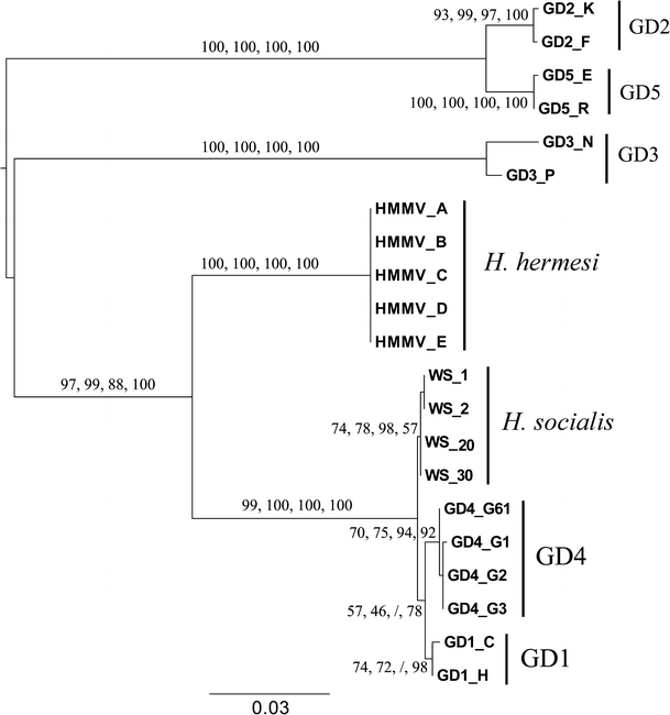 Fig. 13