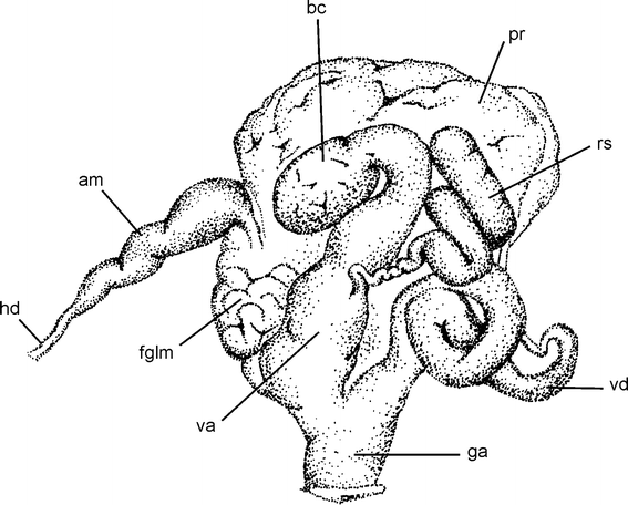 Fig. 3