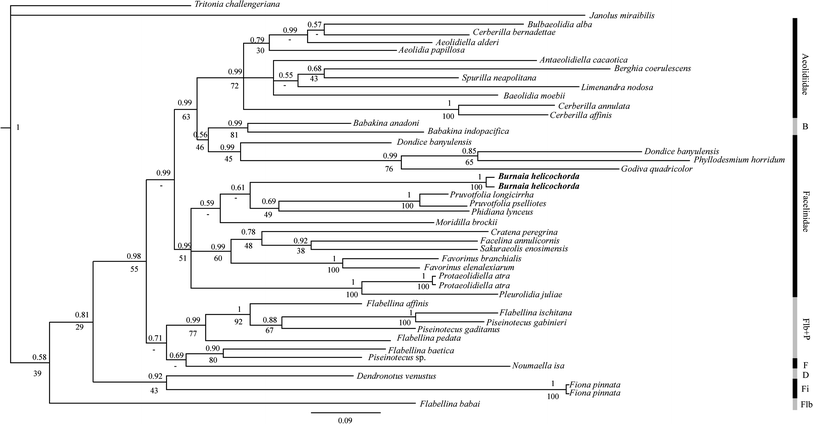 Fig. 1