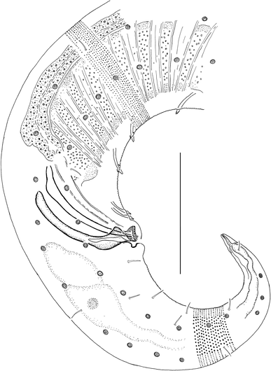 Fig. 12