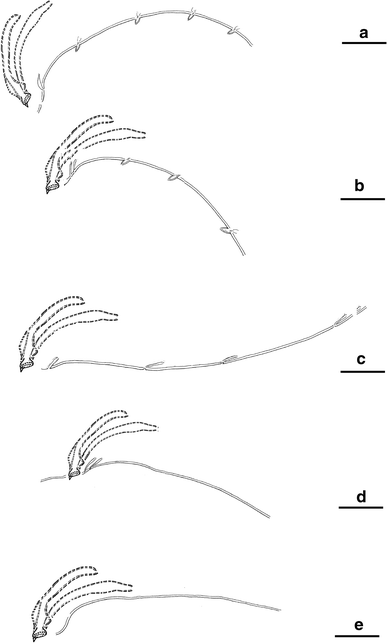 Fig. 14