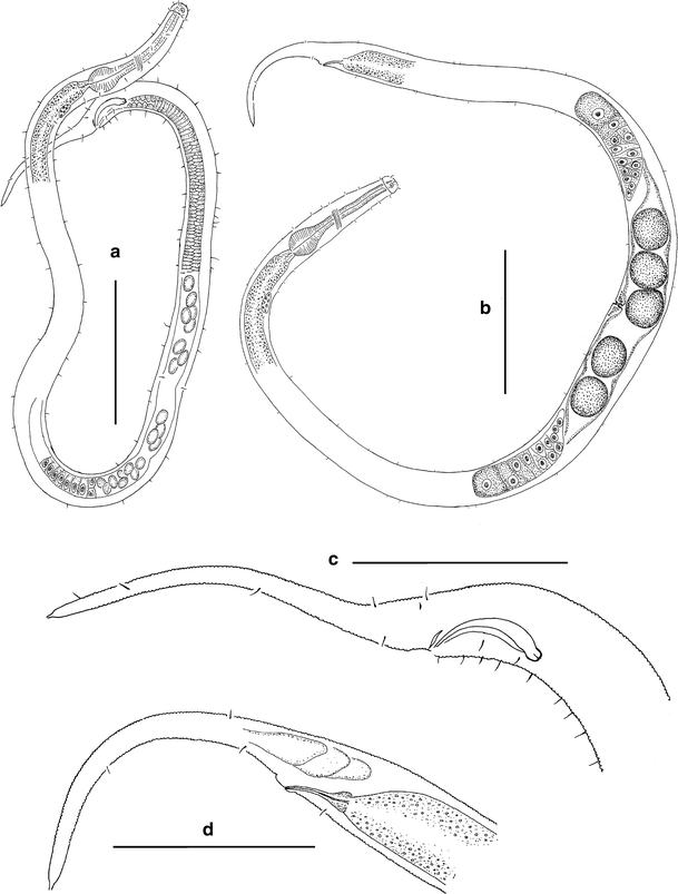 Fig. 19