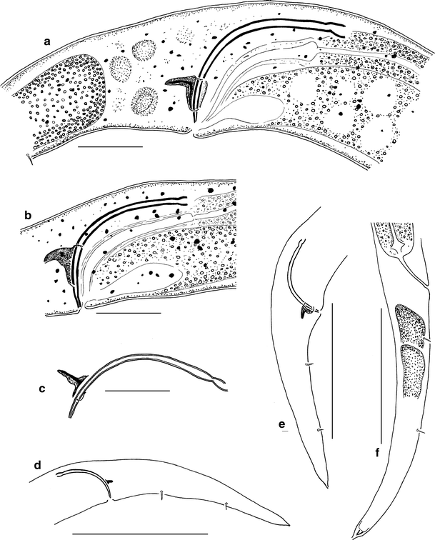 Fig. 29