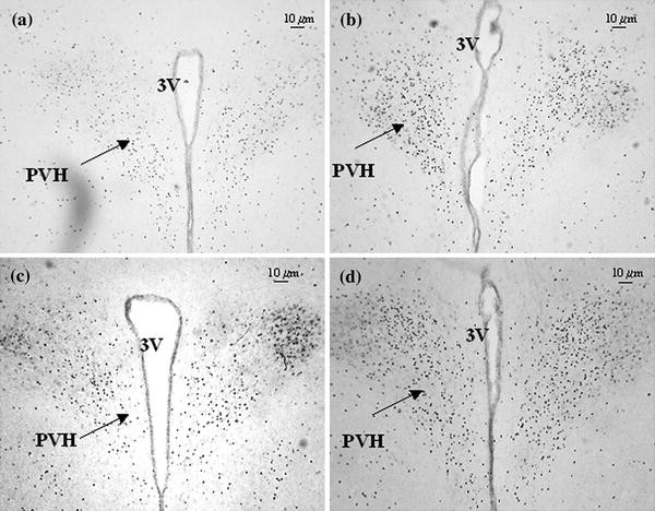 Fig. 4