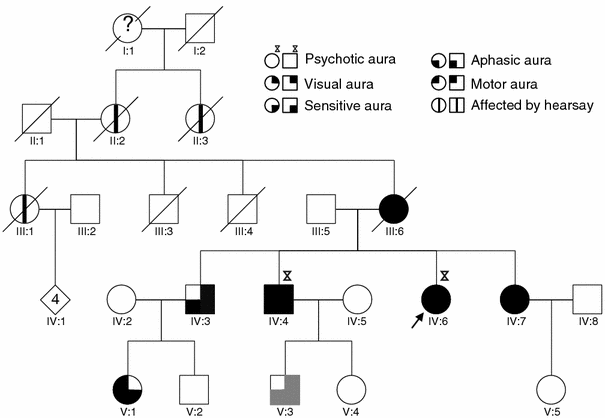 Fig. 1