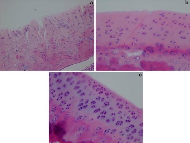 Fig. 4