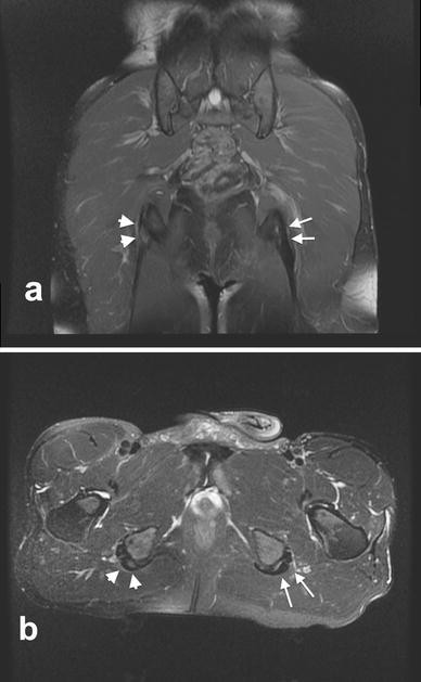 Fig. 5