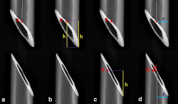 Fig. 3