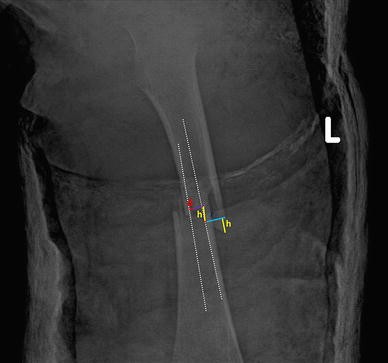 Fig. 5