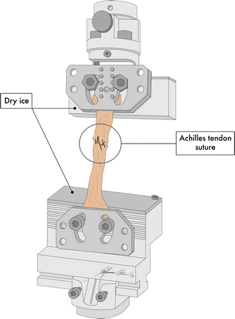 Fig. 5