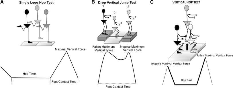 Fig. 2