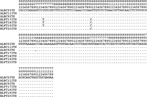 Figure 4 Specific Identification Using Coi Sequence Analysis Of Scombrid Larvae Collected Off The Kona Coast Of Hawaii Island Springerlink