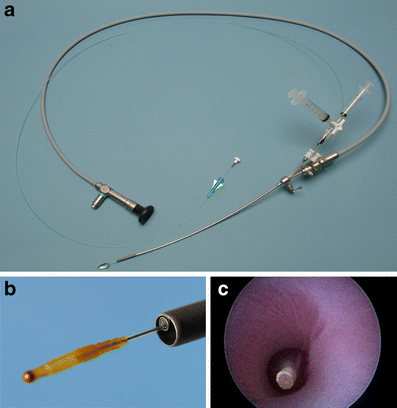 Fig. 3