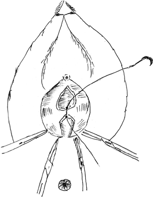 Fig. 7