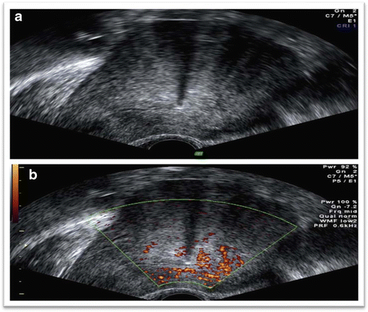 Fig. 7