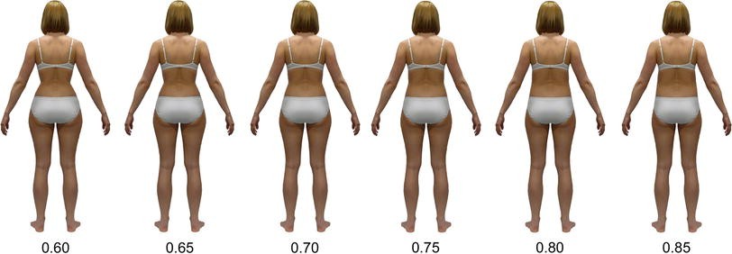 روش محاسبه نسبت کمر به لگن ویکیپدیا