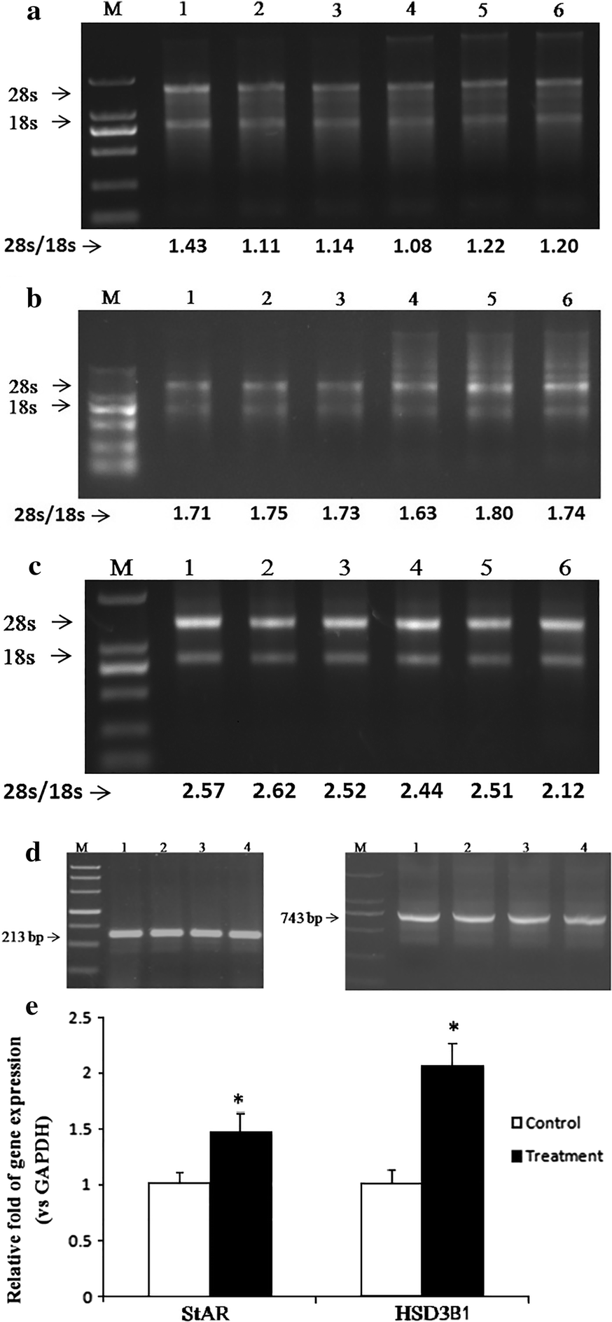 Figure 1 Effective And Economical Column Based Method For Rna Isolation From Animal Cells Springerlink