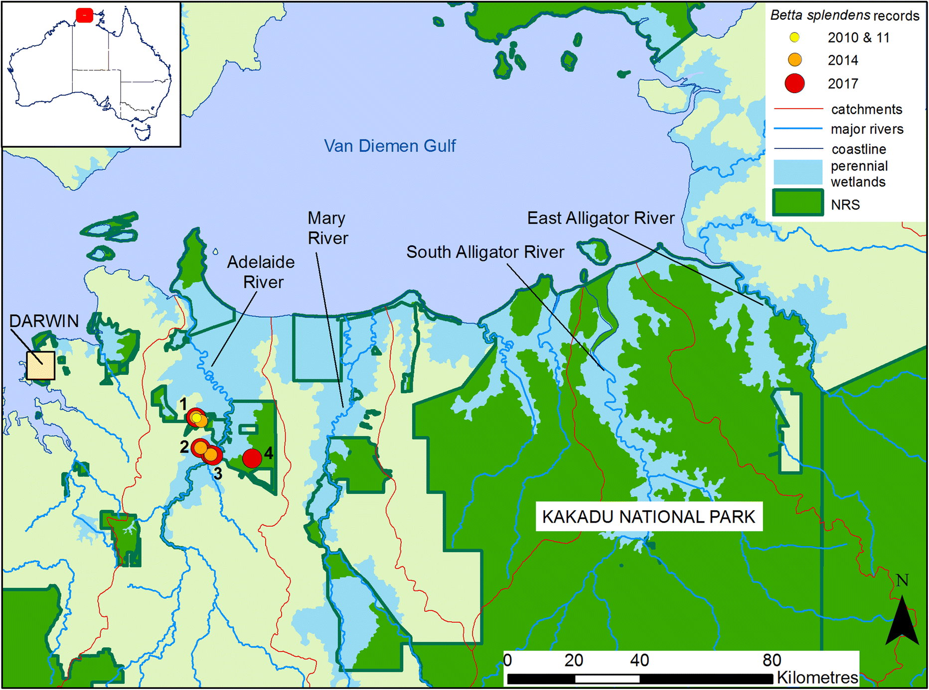 East Alligator River Map Figure 1 | Establishment Of Siamese Fighting Fish On The Adelaide River  Floodplain: The First Serious Invasive Fish In The Northern Territory,  Australia | Springerlink