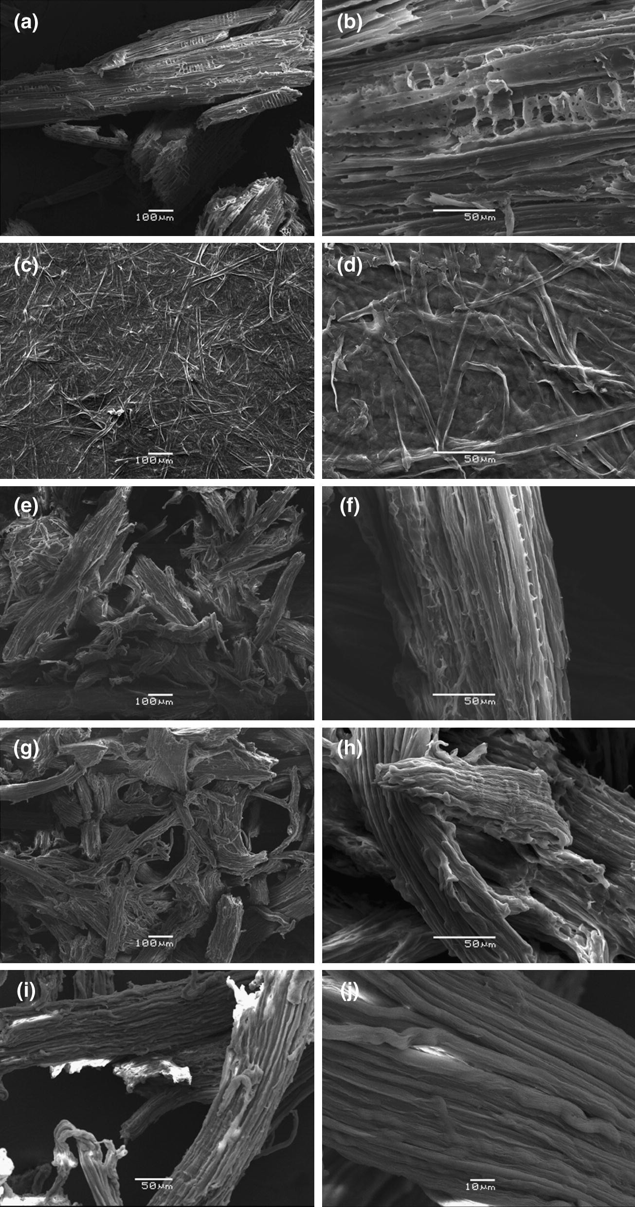 Figure 6 Determination Of Polymorphic Changes In Cellulose From Eucalyptus Spp Fibres After Alkalization Springerlink