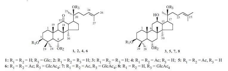 Synthesis Of 3b 6a S Trihydroxydammar 24 En 12 One O B D Glucopyranoside Ginsenoside Rh8 A Panax Ginseng Glycoside Springerlink Synthesis Of 3b 6a S Trihydroxydammar 24 En 12 One O B D Glucopyranoside Ginsenoside Rh8 A Panax Ginseng Glycoside Springerlink