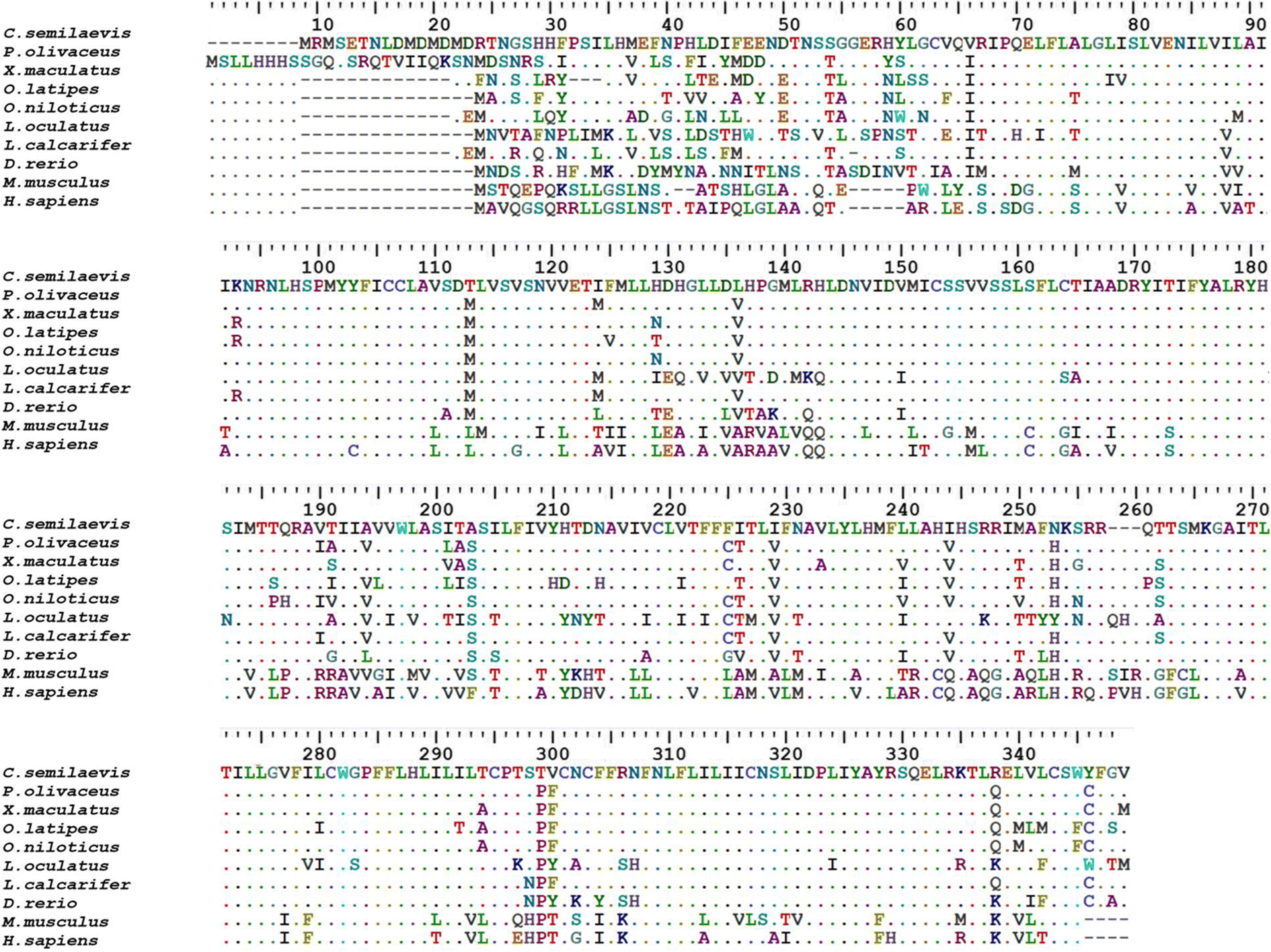 Figure 3 Identification And Characterization Of The Melanocortin 1 Receptor Gene Mc1r In Hypermelanistic Chinese Tongue Sole Cynoglossus Semilaevis Springerlink