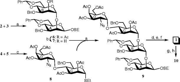 Scheme 1 Convergent Synthesis Of The Tetrasaccharide Repeating Unit Corresponding To The O Antigen Of The Verotoxin Producing Escherichia Coli O176 Springerlink