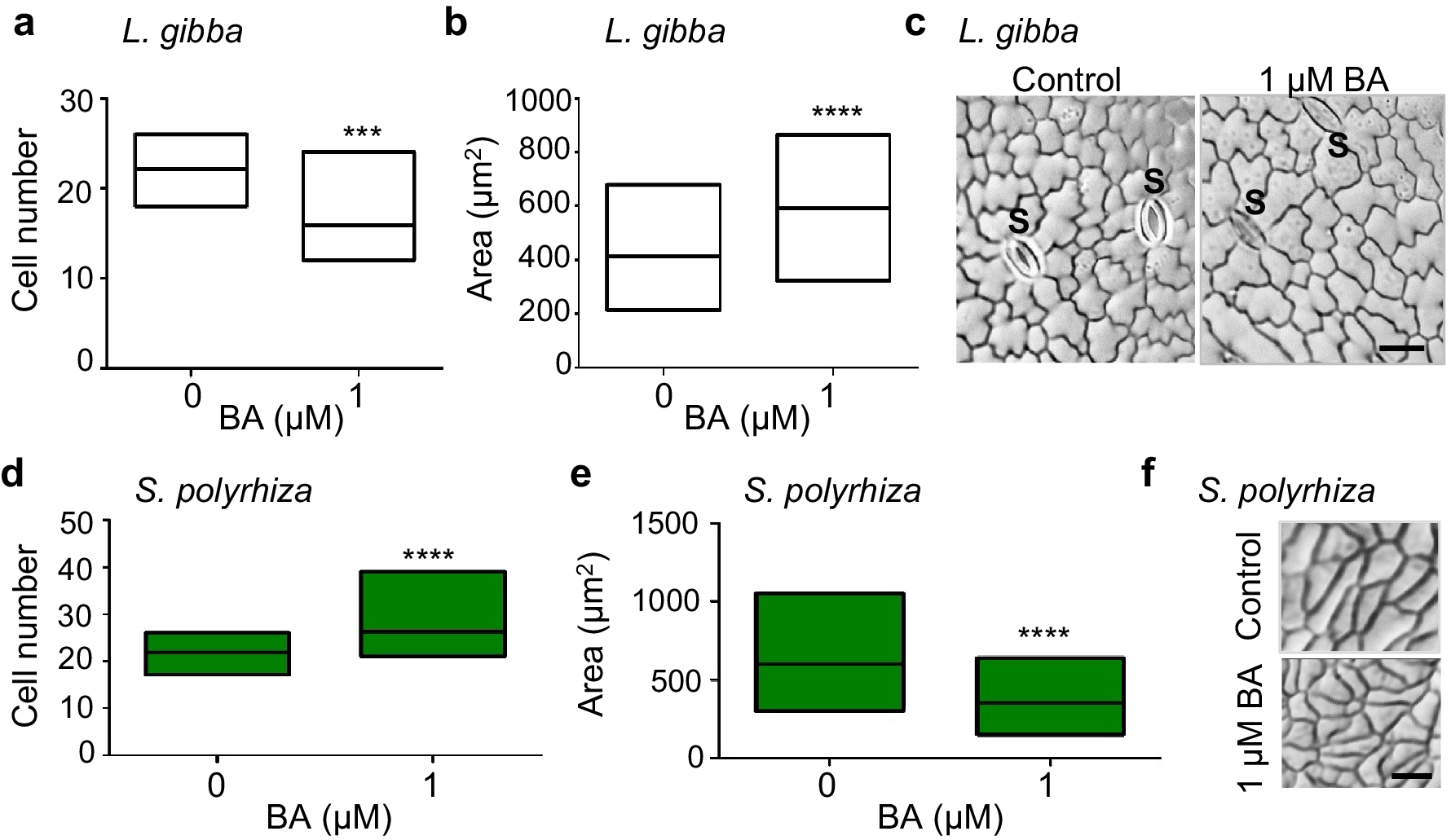 Figure 2 | Cytokinin-induced growth in the duckweeds Lemna gibba and  Spirodela polyrhiza | SpringerLink