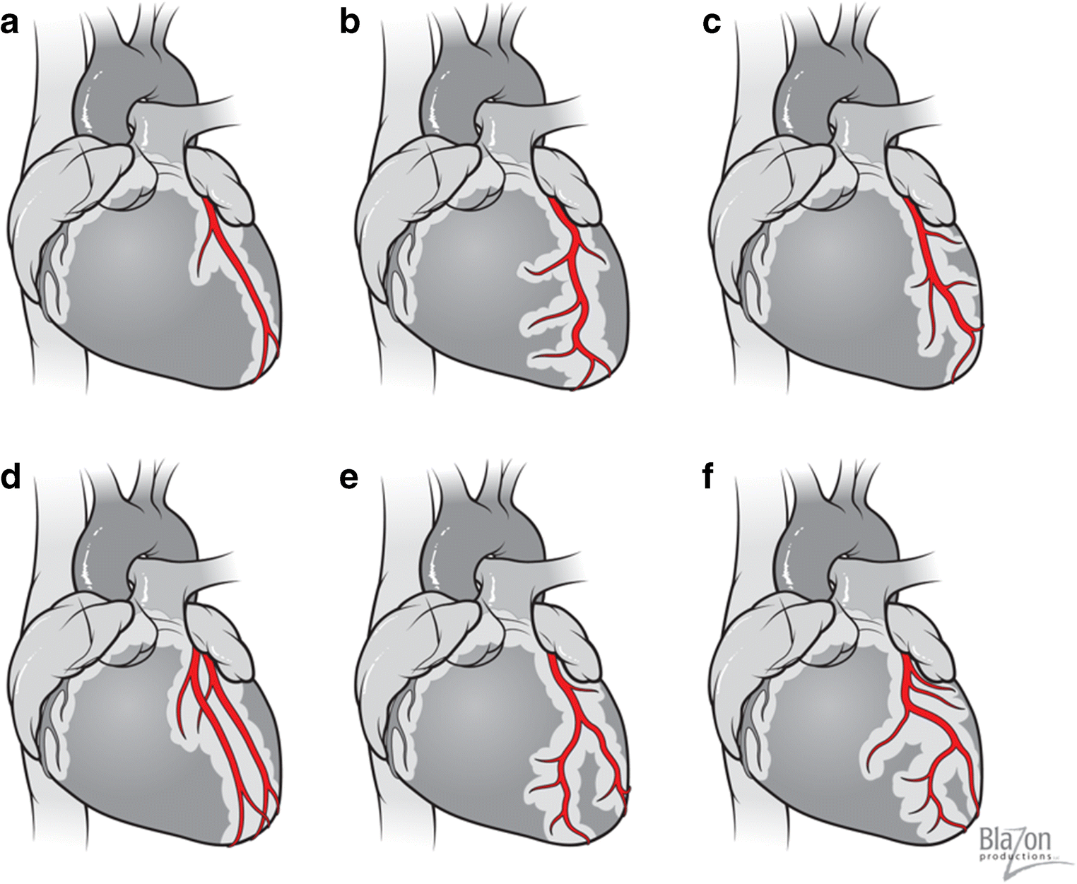 Figure 2 Surgical And Physiological Challenges In The Development Of Left And Right Heart Failure In Rat Models Springerlink
