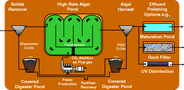 Figure 2 Hectare Scale Demonstration Of High Rate Algal Ponds For Enhanced Wastewater Treatment And Biofuel Production Springerlink