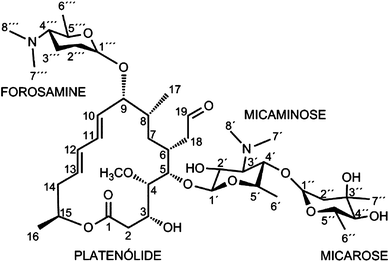 Scheme 1 Adenine Nucleotide Recognition By Spiramycin And Some Of Its Aromatic Derivatives Springerlink Scheme 1 Adenine Nucleotide Recognition By Spiramycin And Some Of Its Aromatic Derivatives Springerlink