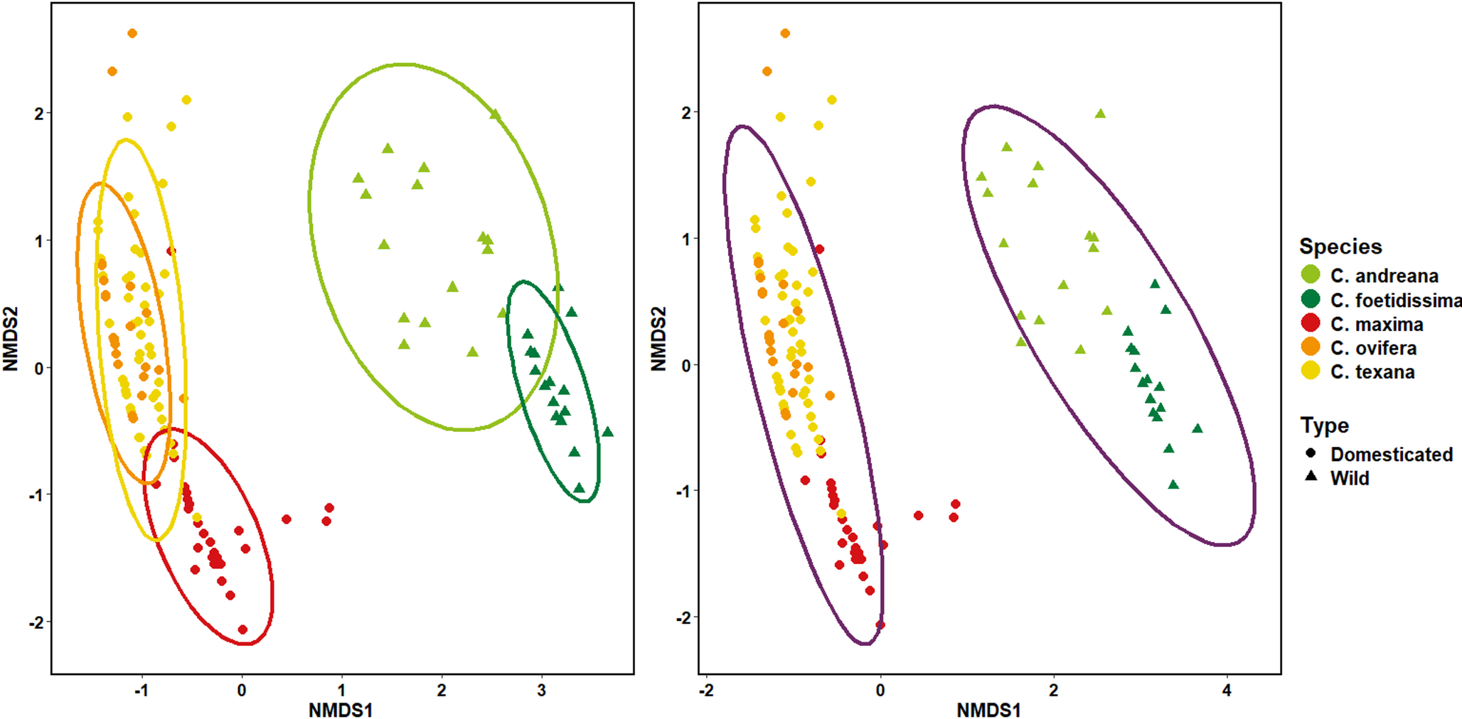 ウリ科花の化学変化がミツバチ誘引行動を変えることを発見(Domestication has changed the chemicals squash flowers use to attract bees) ウリ科花の化学変化がミツバチ誘引行動を変えることを発見(Domestication has changed the chemicals squash flowers use to attract bees)