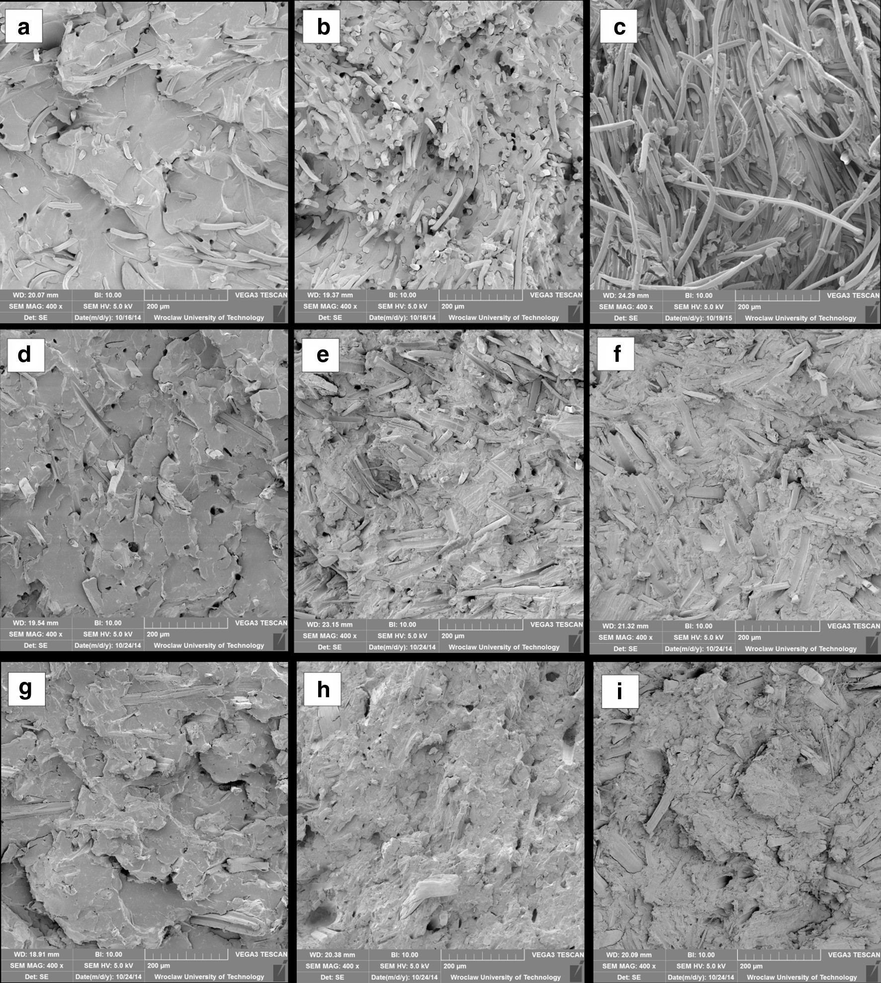 Figure 6 Man Made And Natural Fibres As A Reinforcement In Fully Biodegradable Polymer Composites A Concise Study Springerlink